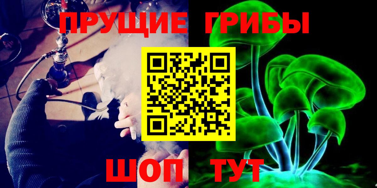 Галлюциногенные грибы Psilocybine cubensis  Вход с VPN  Большой Камень 
